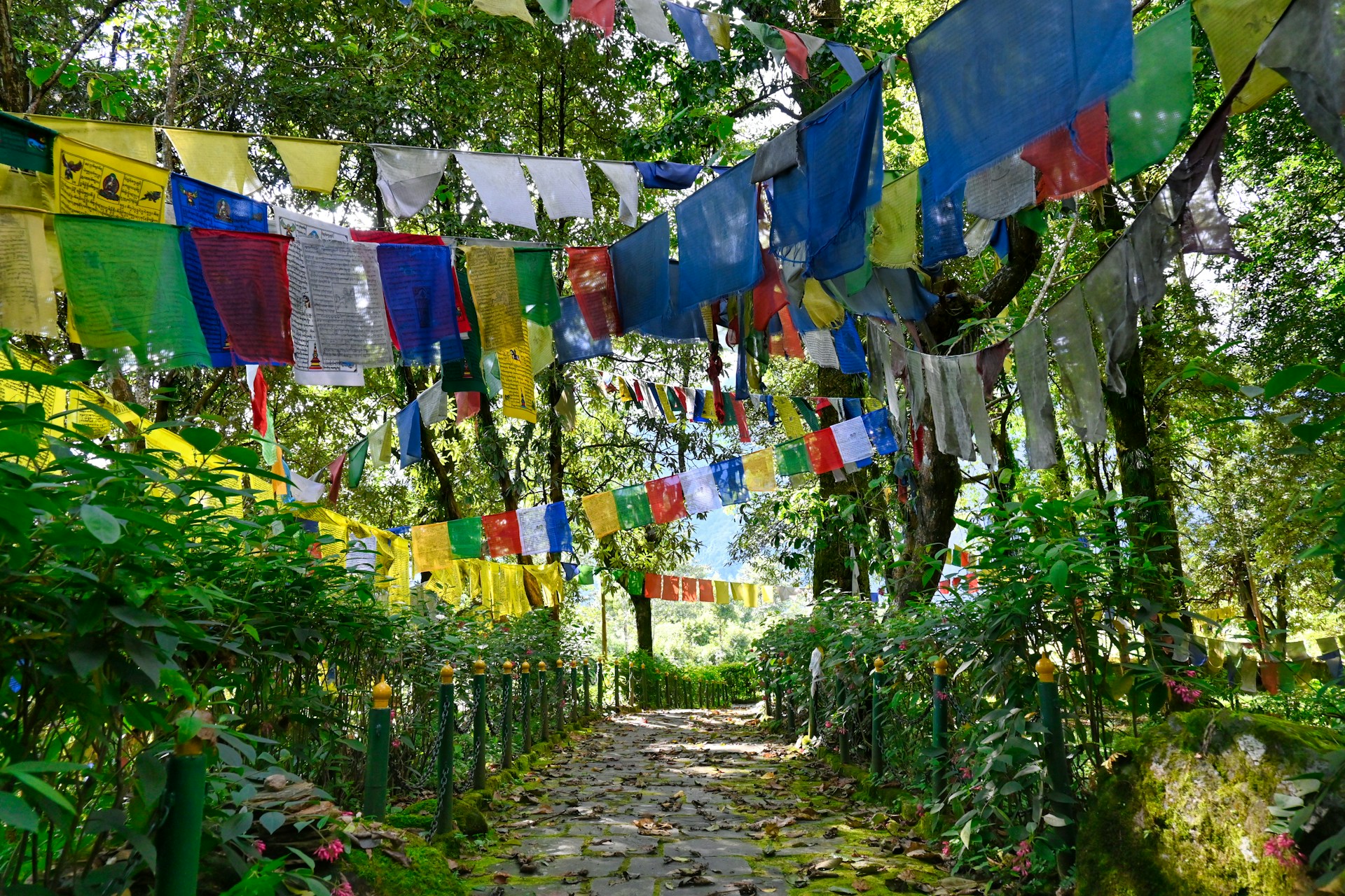 Sikkim and Darjeeling tour itinerary